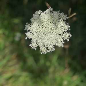 Meet your Posher, Brielle